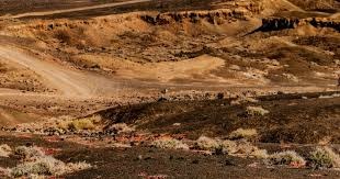 Riot Games博彩合作新指南